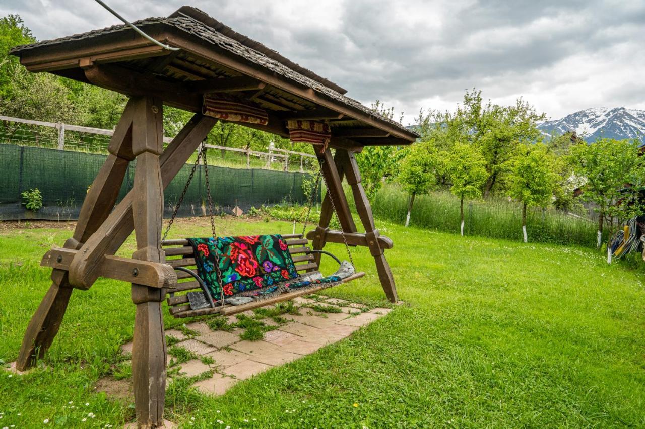 Cabana Rustic Borşa Esterno foto