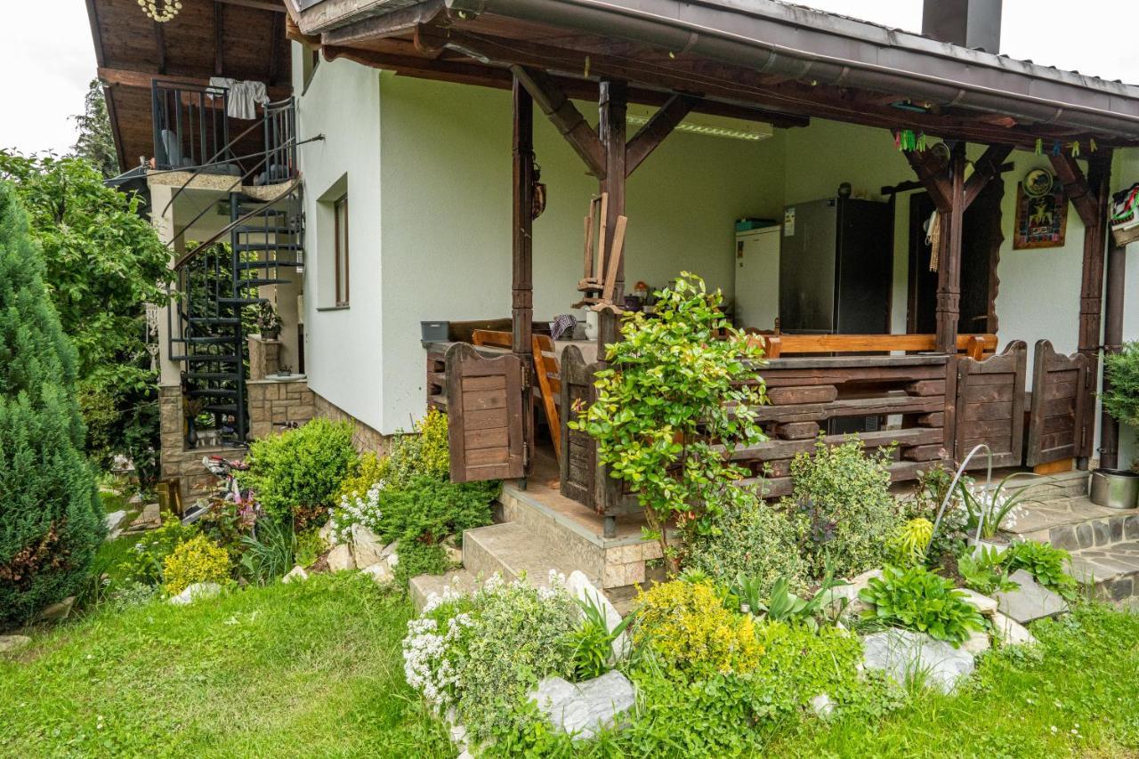 Cabana Rustic Borşa Esterno foto