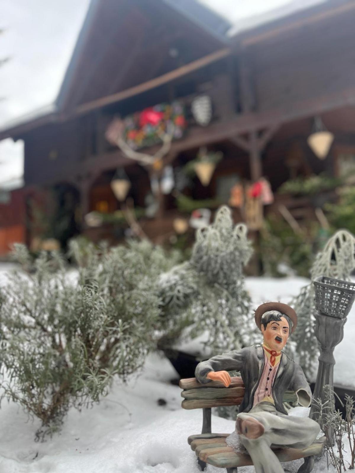 Cabana Rustic Borşa Esterno foto