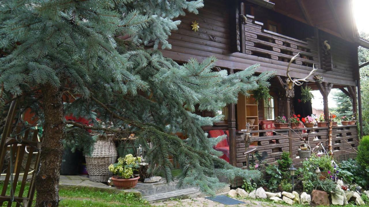Cabana Rustic Borşa Esterno foto