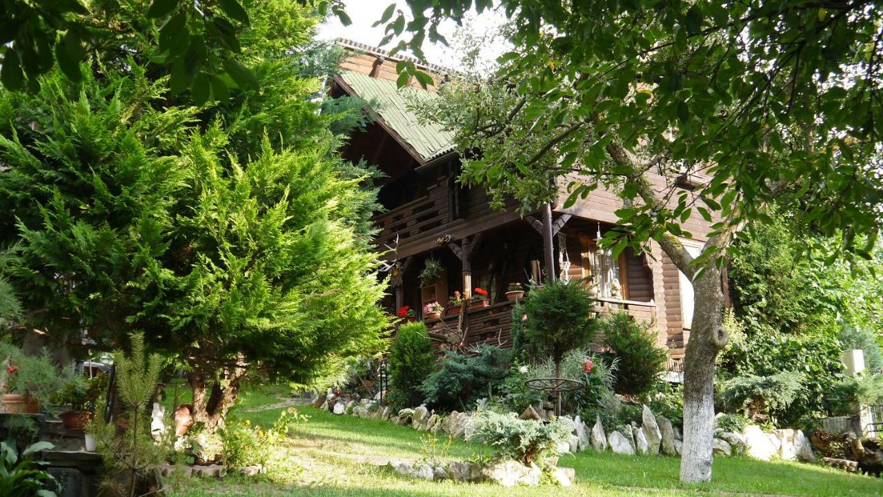 Cabana Rustic Borşa Esterno foto