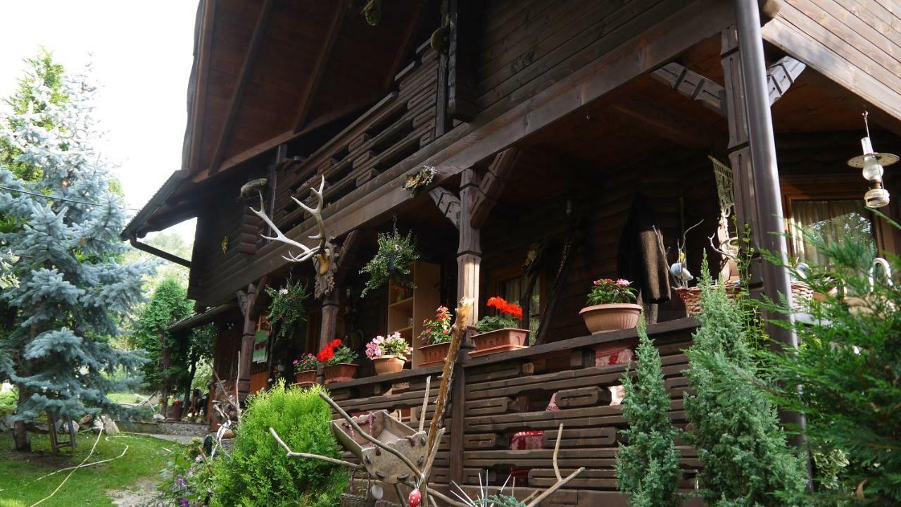 Cabana Rustic Borşa Esterno foto