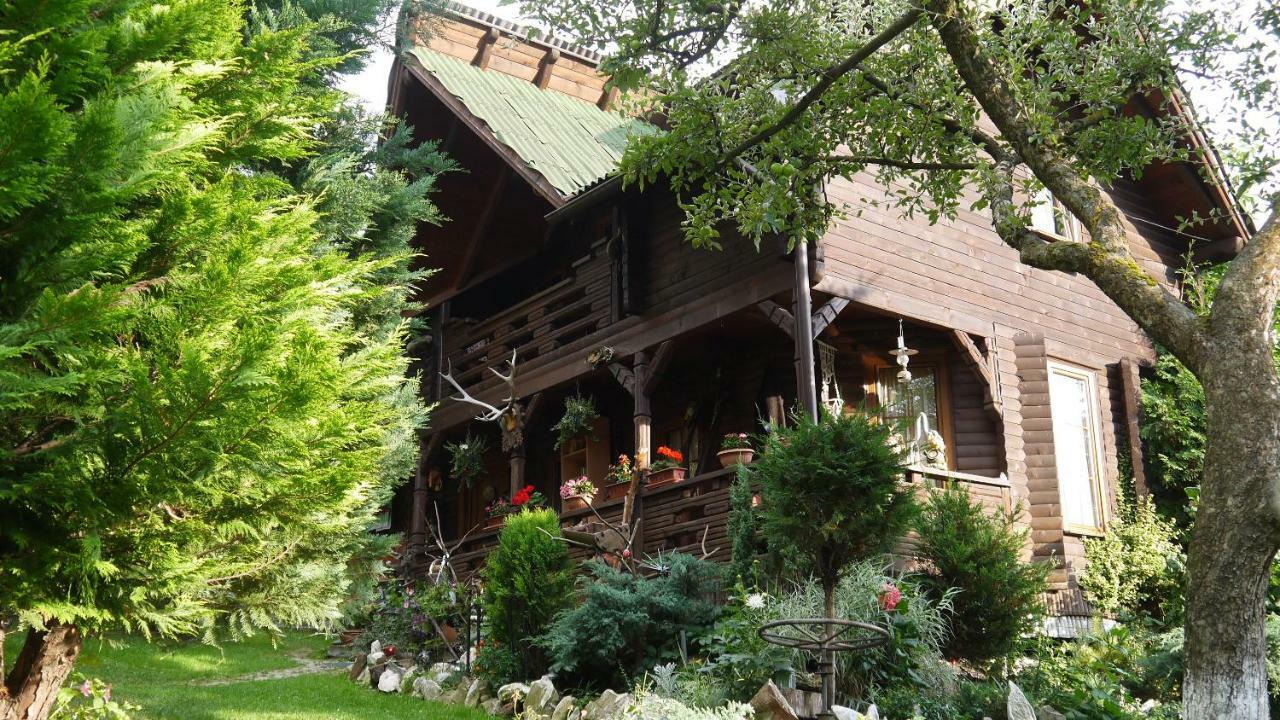 Cabana Rustic Borşa Esterno foto