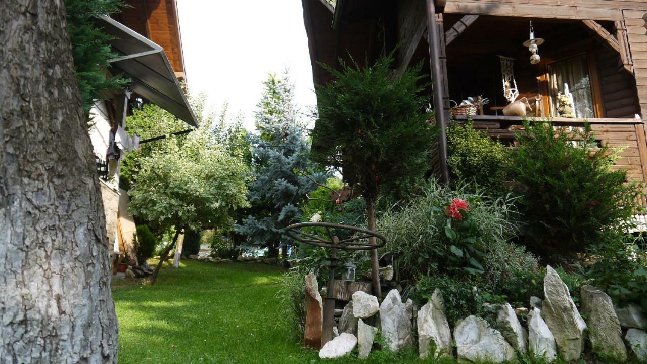 Cabana Rustic Borşa Esterno foto