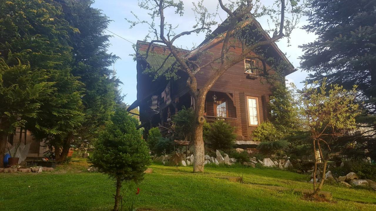 Cabana Rustic Borşa Esterno foto